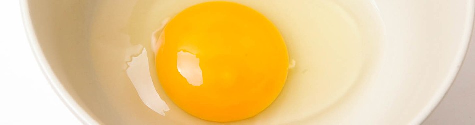 Białka jajek